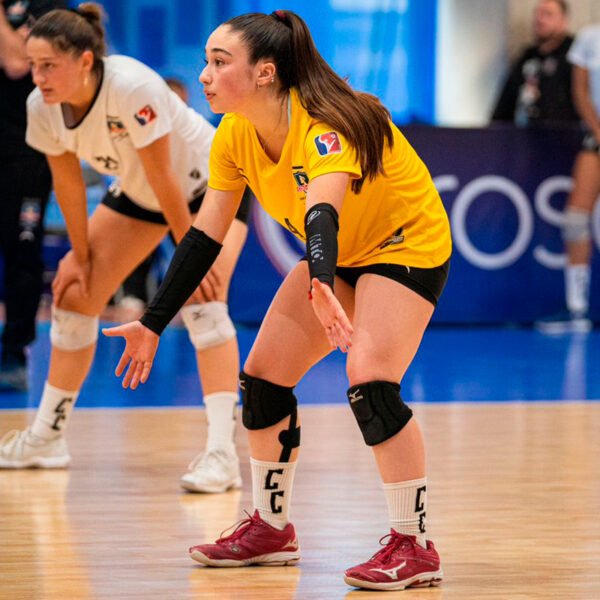 Mangas 3/4 MTO - Imagen 3