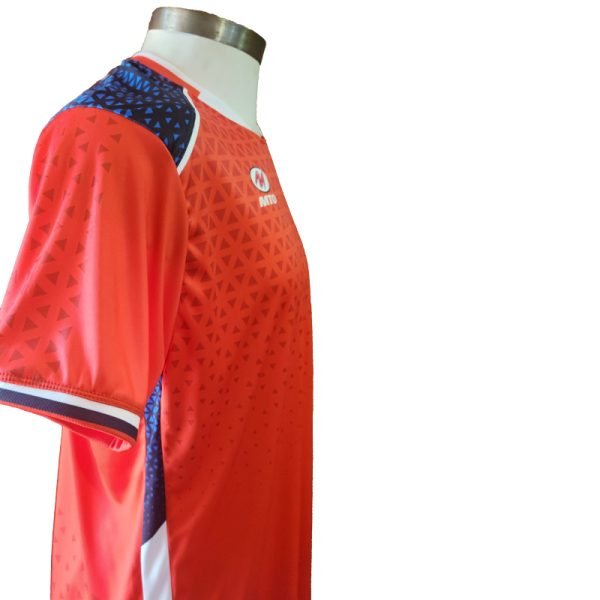 Camiseta de juego 2024 - Versión con mangas - Imagen 3